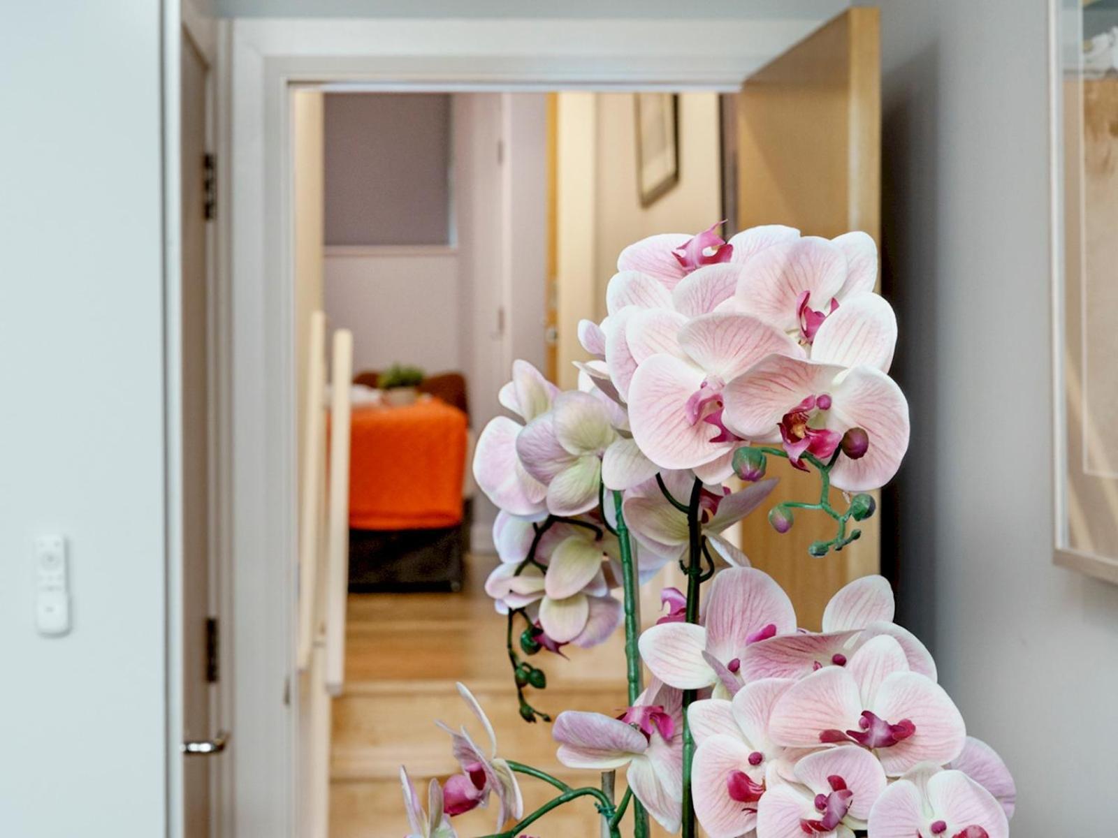 The Linen Mill Apartment Pass The Keys 贝尔法斯特 外观 照片